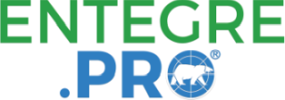 Entegre Pro Logo